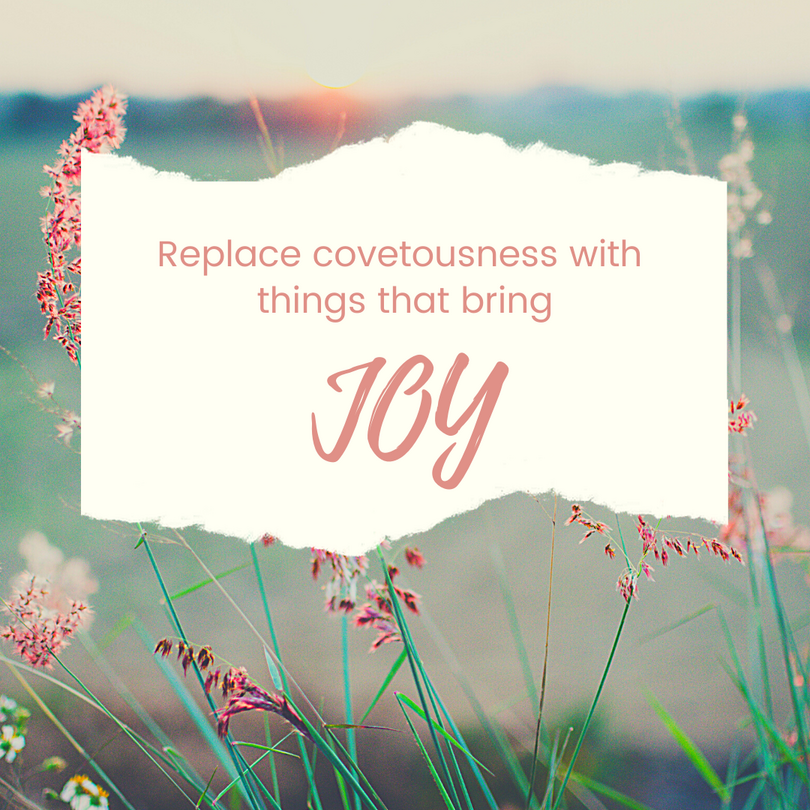 Replace covetousness with things that bring joy bible devotional bible quote