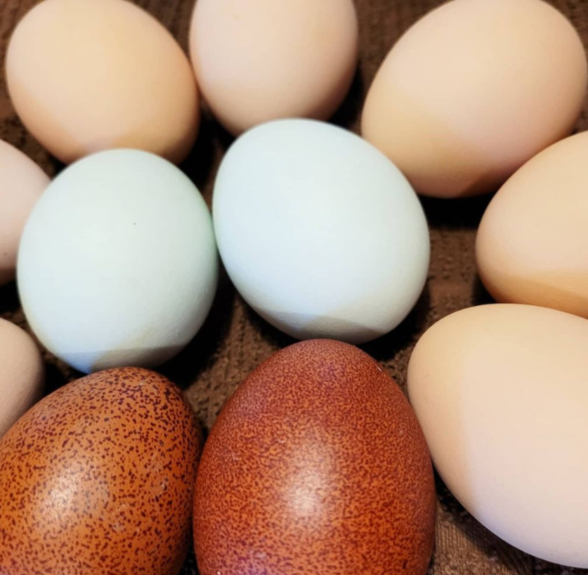 Eggs farmed by Abby