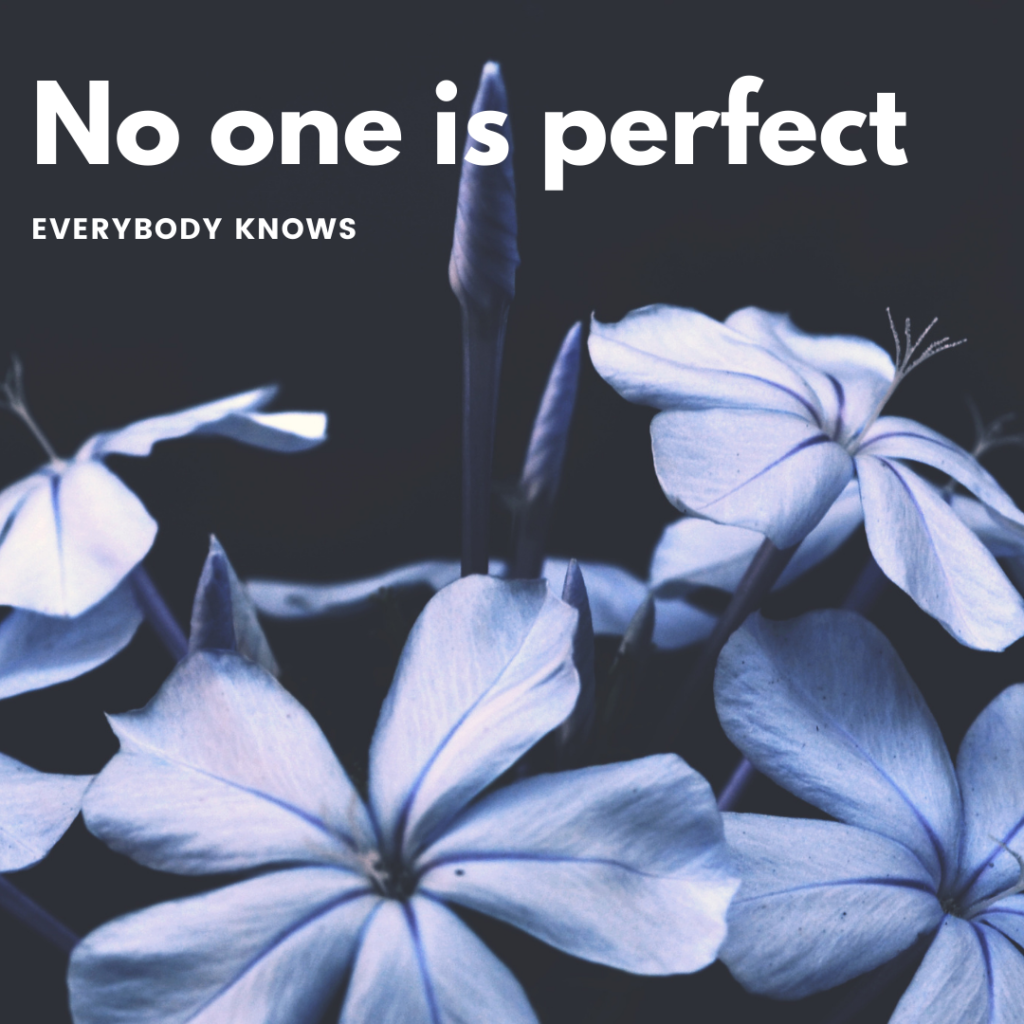 No one is perfect. Everybody knows motivational quote