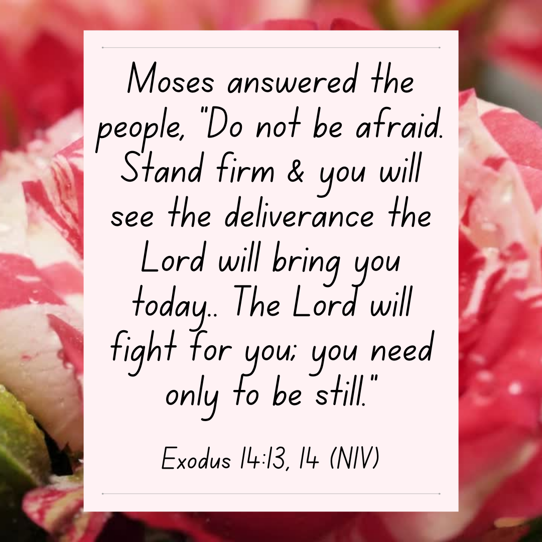 Exodus 14 bible devotional