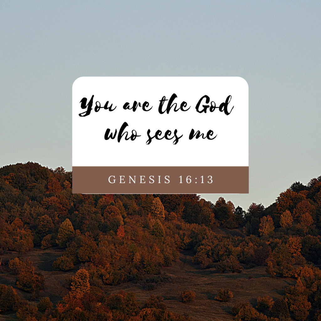 Genesis 16 bible devotional - you are the god who sees me Genesis 16:13 bible quote