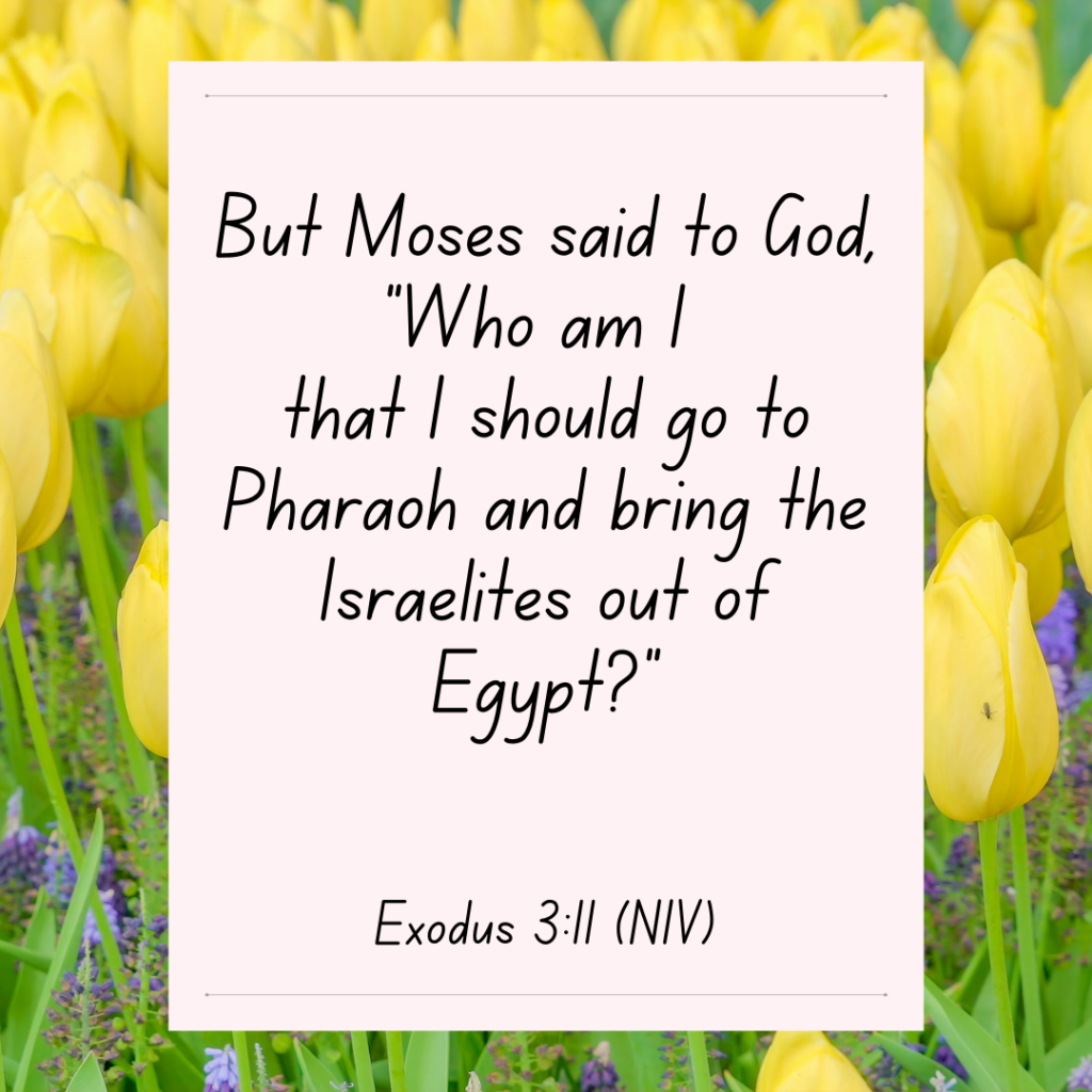 Genesis 3:11 bible devotional But Moses said to God, “Who am I that I should go to Pharaoh and bring the Israelites out of Egypt?”