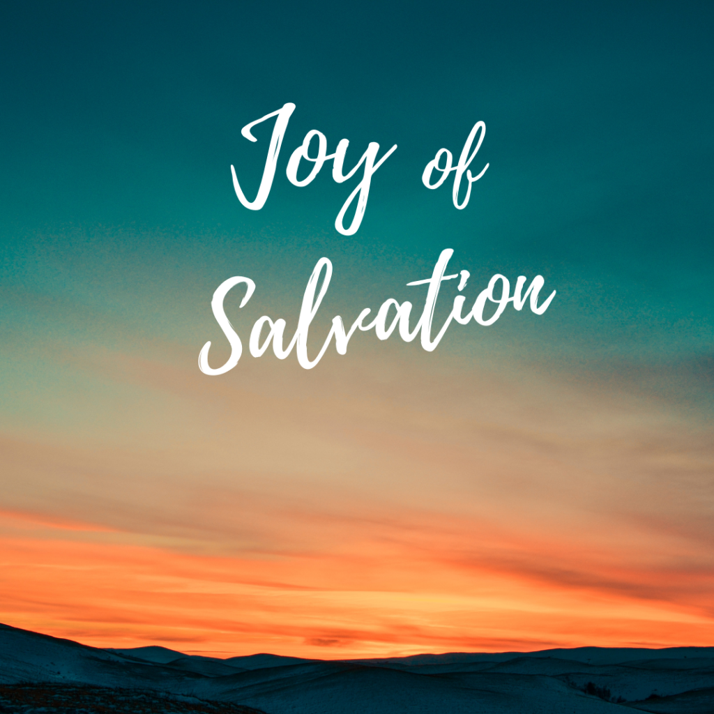 Joy of Salvation - Clueless Journal devotional