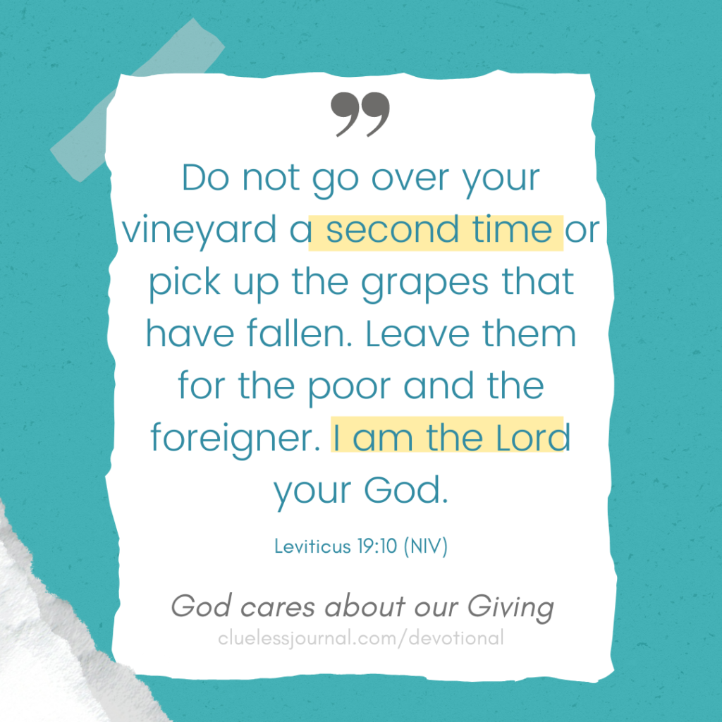 Daily Bible Devotional Leviticus 19:10 Do not go over your vineyard a second time or pick up the grapes that have fallen. Leave them for the poor and the foreigner. I am the Lord your God. >> God cares about our giving CluelessJournal.com