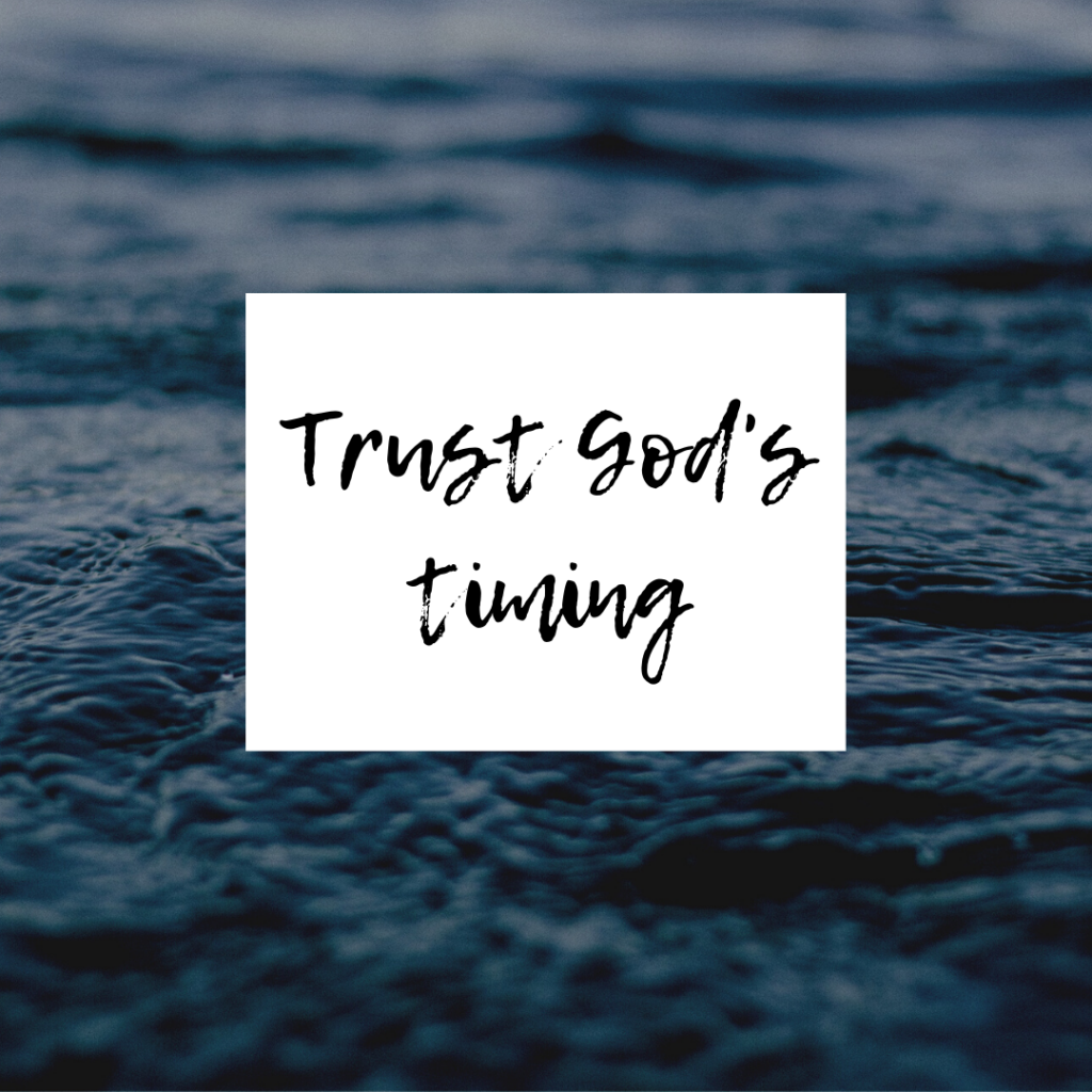 Bible devotion for Genesis 8 Trust God's Timing in the flood 