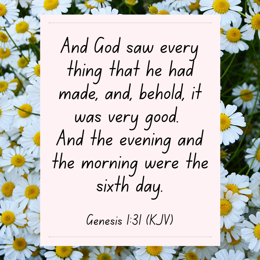 Genesis 1 bible devotional - And God saw every thing that he had made, and , behold, it was very good.. 