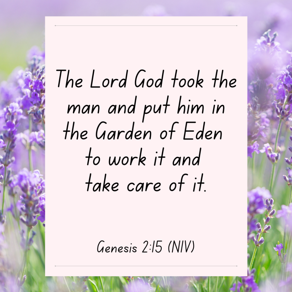 Work is meant to be good - Genesis 2 bible devotional The Lord God took the man and put him in the Garden of Eden to work it and take care of it. Genesis 2:15