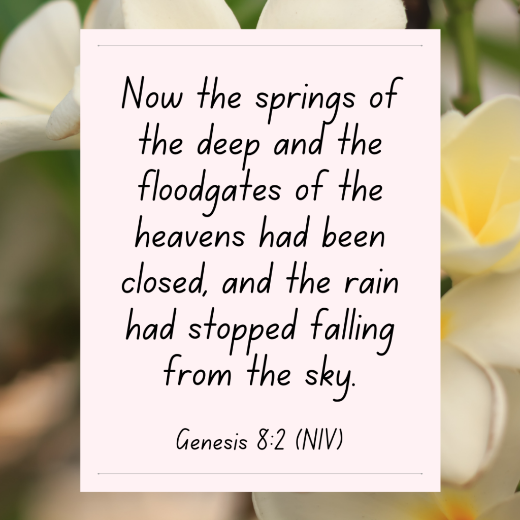 Genesis 8:2 Bible Devotional Now the springs of the deep and the floodgates of the heavens had been closed, and the rain had stopped falling from the sky.