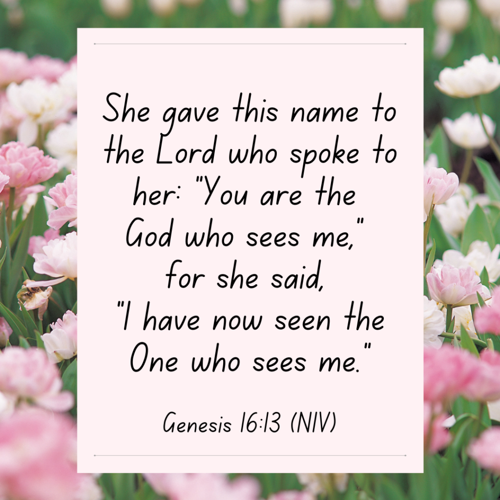 Genesis 16:23 Bible devotional She gave this name to the Lord who spoke to her: “You are the 
God who sees me,” 
for she said, 
“I have now seen the One who sees me.”