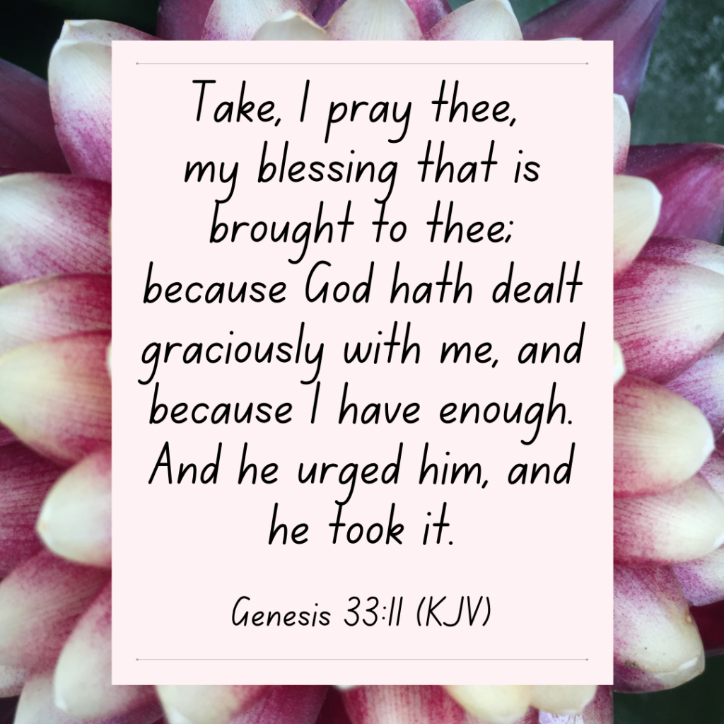 Genesis 33:11 Bible Devotional - Take, I pray thee, my blessing that is brought to thee; because God hath dealt graciously with me, and because I have enough. And he urged him, and he took it.