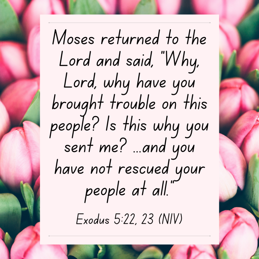 Exodus 5 bible devotional 
Moses returned to the Lord and said, “Why, Lord, why have you brought trouble on this people? Is this why you sent me? ...and you have not rescued your people at all.”
