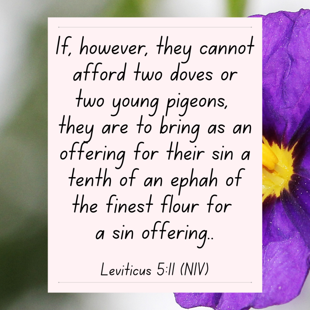 Leviticus 5 bible devotional