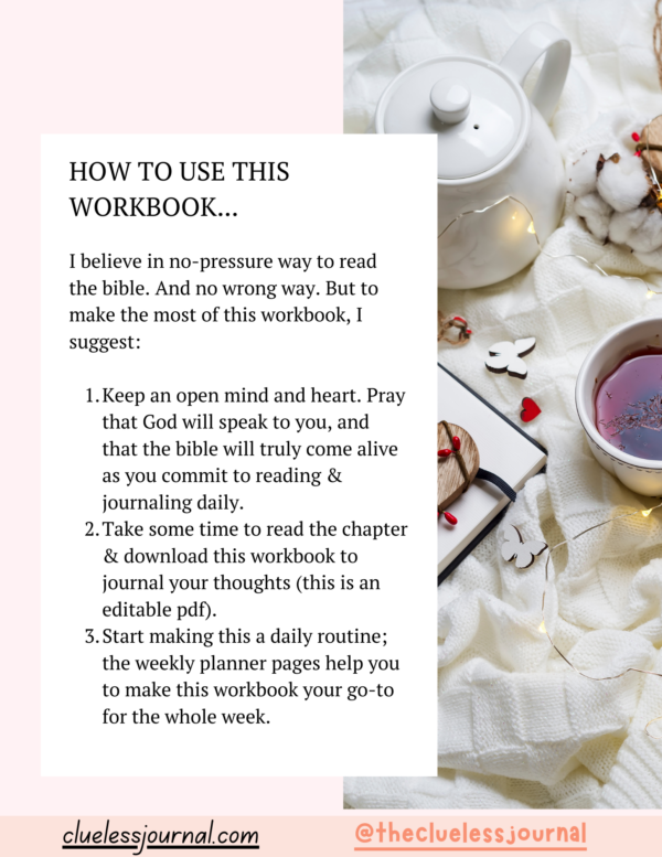 How to Use Joshua Bible Journal Workbook