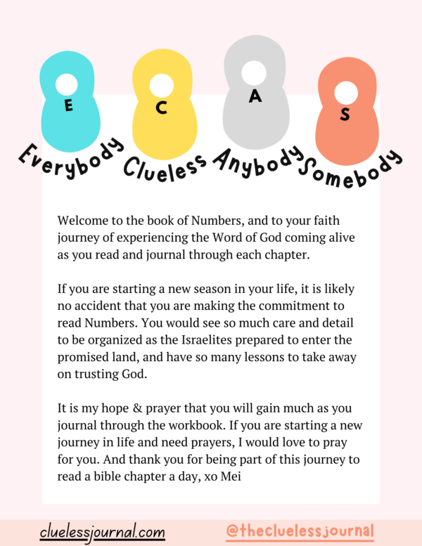 Numbers Bible Journal Welcome Letter