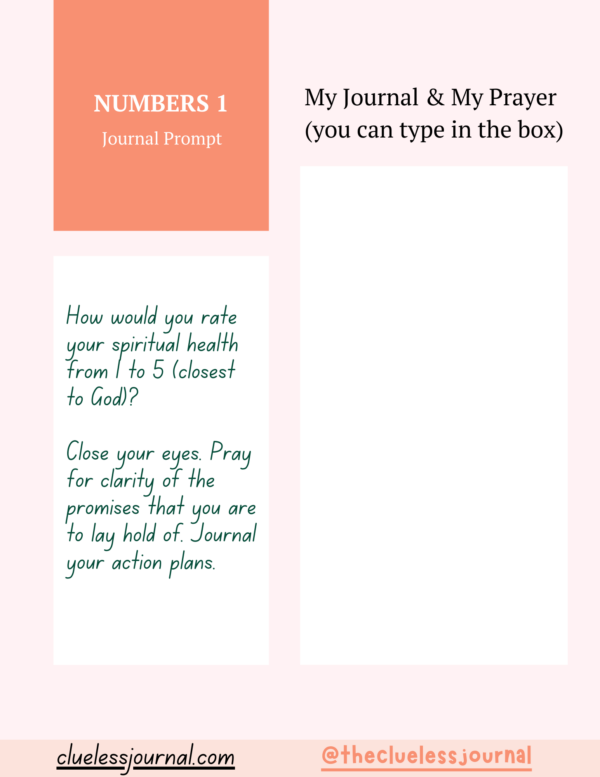 Numbers Bible Journal Workbook Daily Journal Prompt
