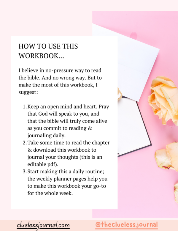 1 Kings Bible Journal Workbook How to Use