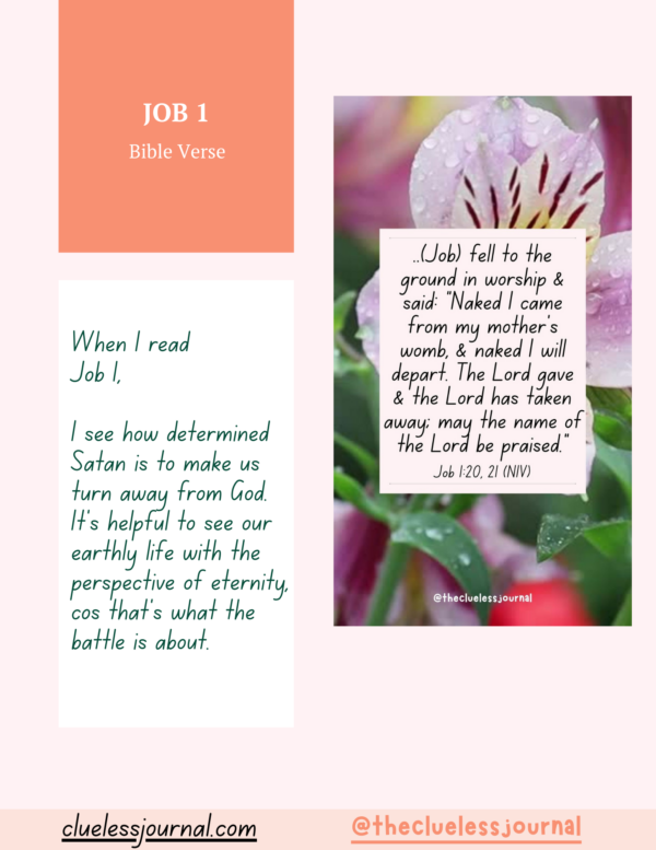 Job Bible Journal Workbook Daily Bible Verse