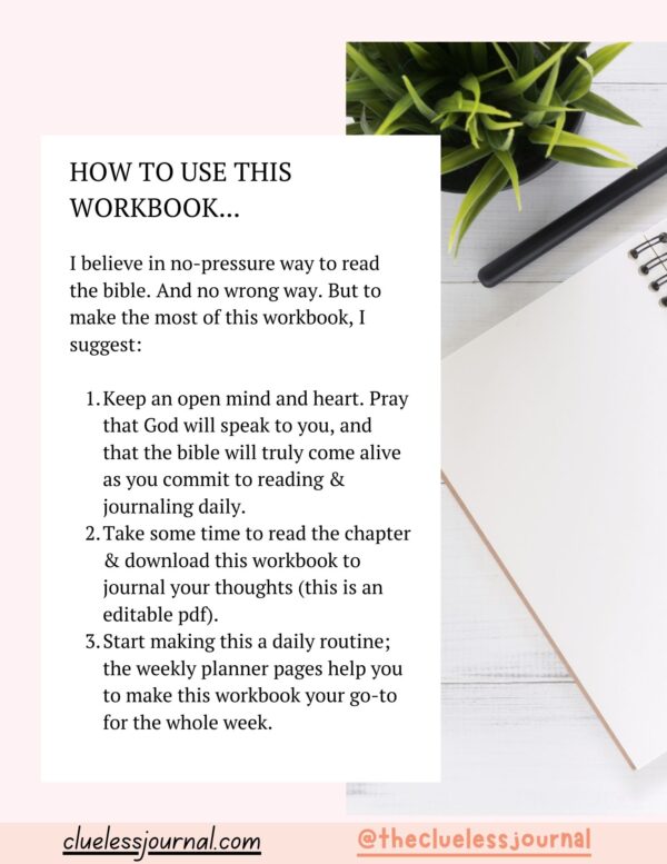 Ecclesiastes Bible Journal Workbook How to Use Instruction